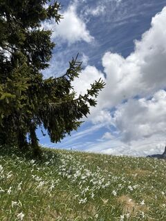 Foto von Birgit entlang der Tour
