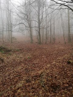 Foto von Manuela Pauli entlang der Tour