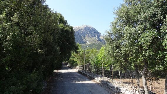 GR 221