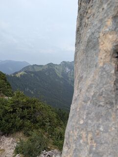 Photo de Stubi le long du parcours
