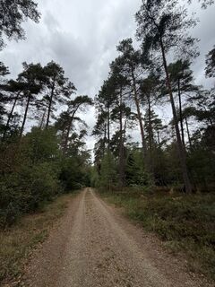 Fotografija s spletne strani Keven Schimberg na poti
