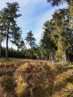 Foto von Dennis Buchmeier entlang der Tour