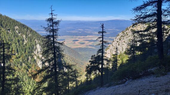 Photo de Plaimer le long du parcours