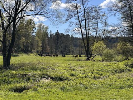 Foto de Norbert Herbig a lo largo del recorrido