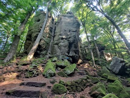 Fotografie z Bellou na trase