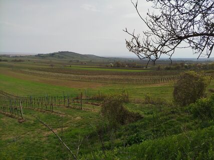 Foto de Walter Pangratz a lo largo del recorrido