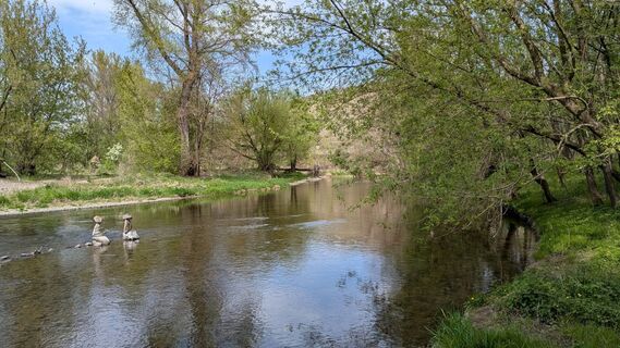 Foto de Edero a lo largo del recorrido