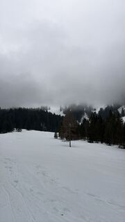 Fotografie z Ing Saša Djordjević MA na trase