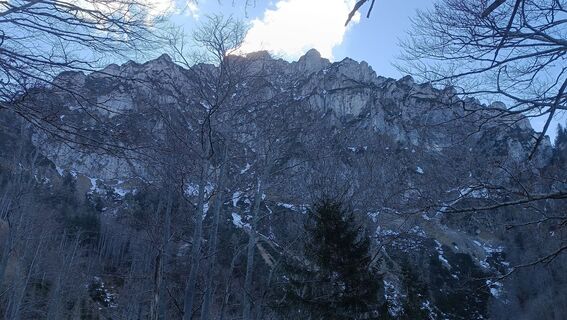 Fotografija s spletne strani Friederike Bergmeister na poti