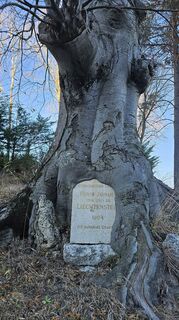 Fotografia z Cecil Schmid na trase