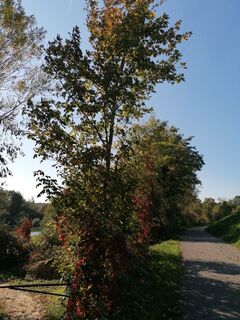 Fotografia z Dragoljub Ilic na trase