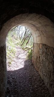 Fotografija s spletne strani Martina Ursic75 na poti