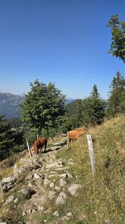 Fotografija s spletne strani Klementina Gartner na poti