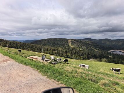 Photo de @Adventure_falcon le long du parcours