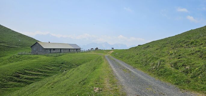 Photo de Nico le long du parcours
