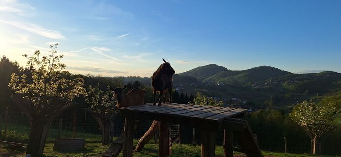 Photo from Barbara Klein 1 along the tour