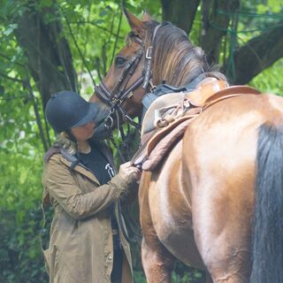 Zu Pferd im Wald von Carnelle