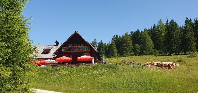 Fotografija s spletne strani mike wm na poti