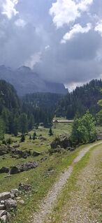 Fotografija s spletne strani David Bubenheim na poti