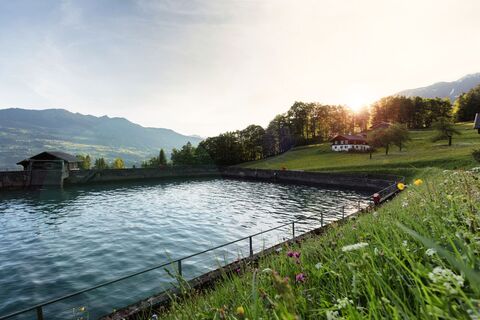 Bitschweil See