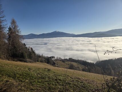 Foto de Gerti Bärnthaler a lo largo del recorrido