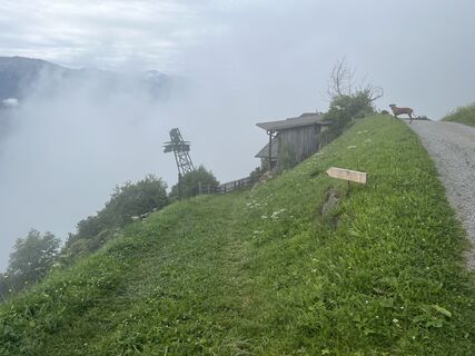 Foto von Markus Hornung 72 entlang der Tour