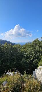 Fotografija s spletne strani Nal Otonicar Podobnik na poti