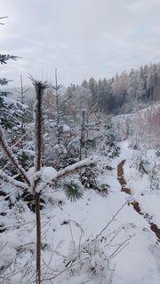 Fotografia z Pur Alexander na trase