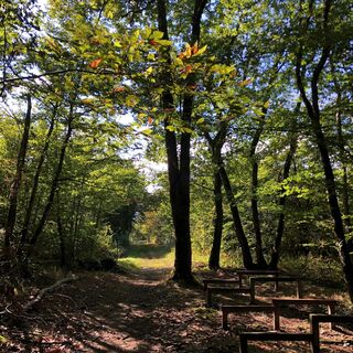 Fitnessparcours von Parves