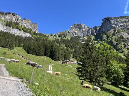 Photo de markus fugel le long du parcours