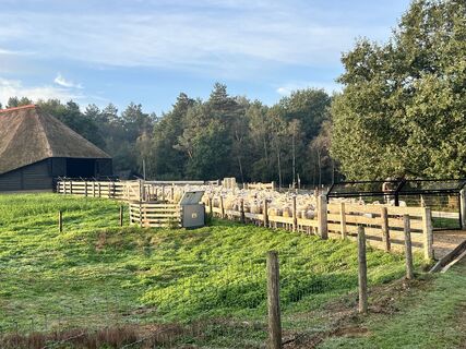 Photo de Marleen Blomsma le long du parcours