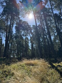 Foto von Sebastian Huppmann entlang der Tour