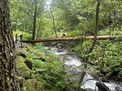 Foto von Andre Loeser entlang der Tour