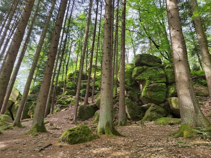 Fotografia z ReginaSt na trase