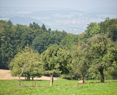achenberg-aussicht