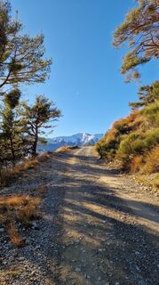 Foto de Fabrizi Mellano a lo largo del recorrido
