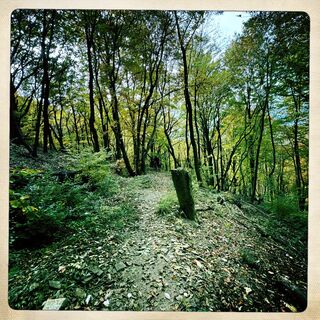 Foto von Axel Schwanhäußer entlang der Tour