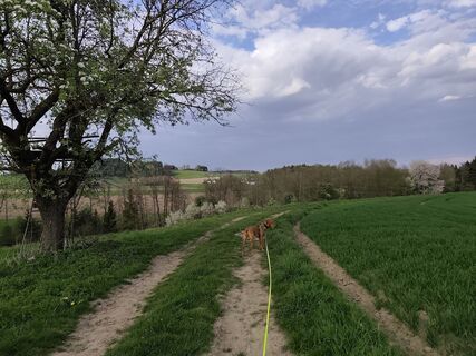 Foto von Tanja Eisenknapp entlang der Tour