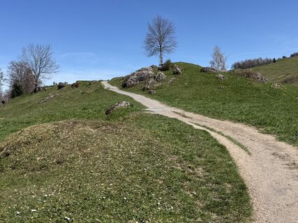 Fotografija s spletne strani Babajo na poti