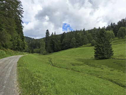 Radweg durchs Enztal