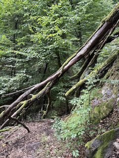 Fotografia z kristianduus na trase