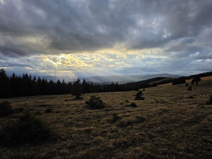 Fotografija s spletne strani TwilightTea na poti