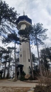 Fotografia z Claudia Maurer na trase