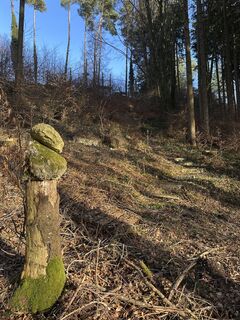 Zdjęcie z Bennadt wzdłuż trasy