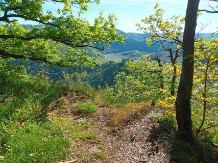 Fotografie de la Sven Kellner 1 de-a lungul turului