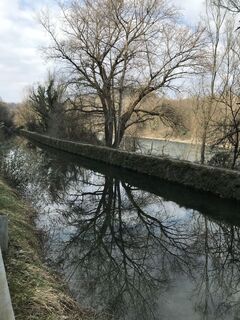 Foto de Angelo Austoni a lo largo del recorrido