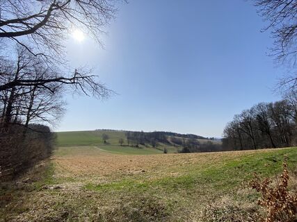 Fotografia z Ilona Varga na trase