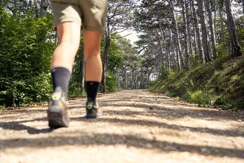 Wandern im Wienerwald