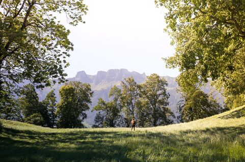 Auf dem Eschnerberg