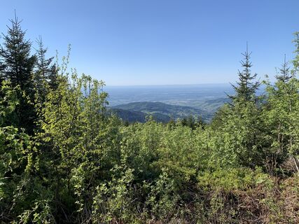 Fotografia z Kristina  1 na trase